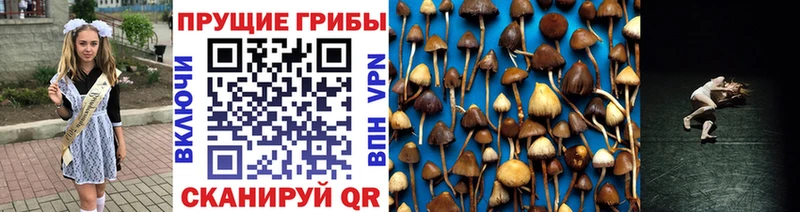 Псилоцибиновые грибы Magic Shrooms сколько стоит Ессентукская
