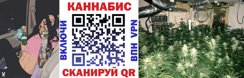 Бошки марихуана конопля  Ессентукская 